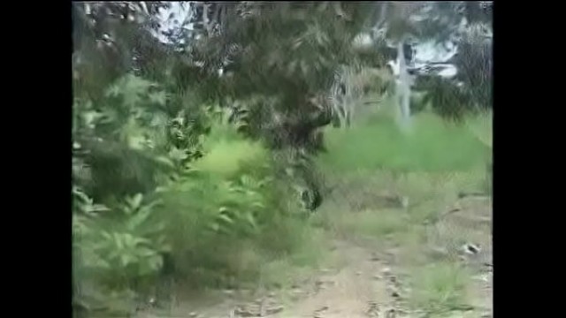 Hot Nasty Raw Hard African Jungle Fucking&excl;&excl;